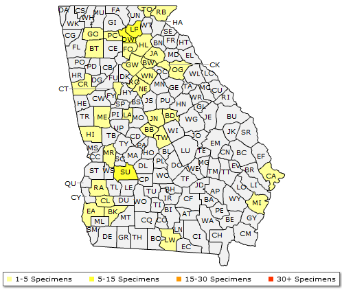 The range of Ilex verticillata